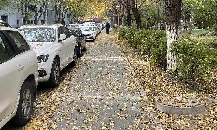 电动树叶收集车