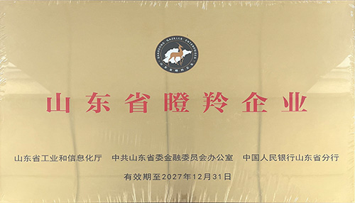济南百易长青发展历程